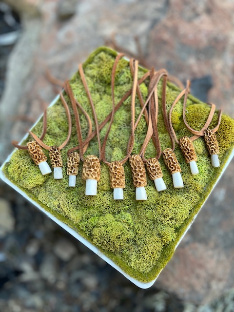 Morel - large